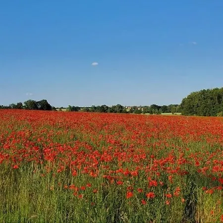 Schaeferwagen Im Leipziger Neuseenland *