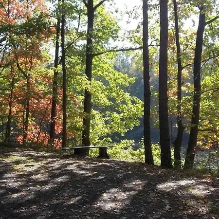 Schaeferwagen Im Leipziger Neuseenland 팜스테이 *