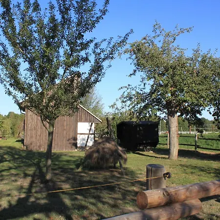 Schaeferwagen Im Leipziger Neuseenland * Wyhra