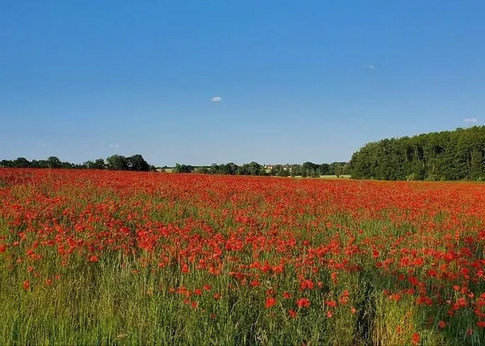 Schaeferwagen Im Leipziger Neuseenland *