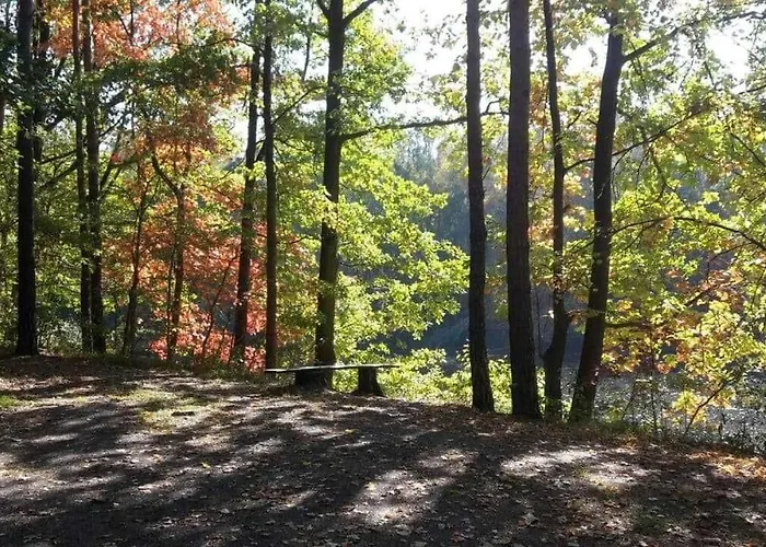 Schaeferwagen Im Leipziger Neuseenland مزرعة للإقامة *