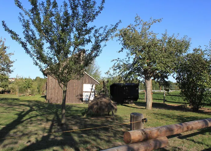 Schaeferwagen Im Leipziger Neuseenland * Wyhra