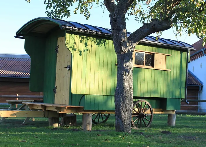 مزرعة للإقامة Schaeferwagen Im Leipziger Neuseenland Wyhra